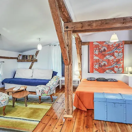 Pet Friendly In With Sauna Sasino