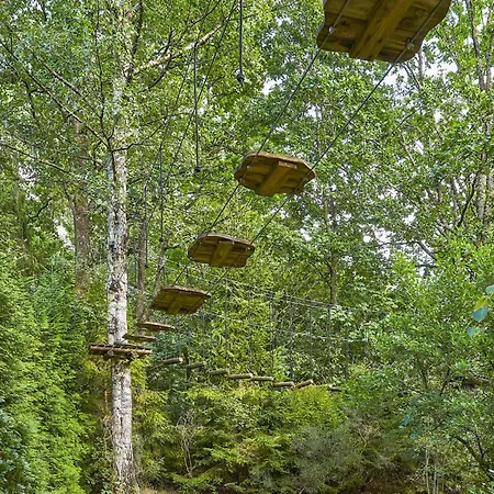 Pet Friendly In With Sauna *