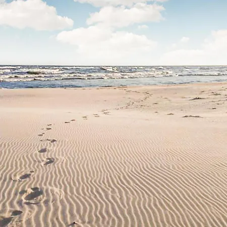 Pet Friendly In With Sauna Sasino