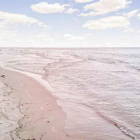 Pet Friendly In With Sauna