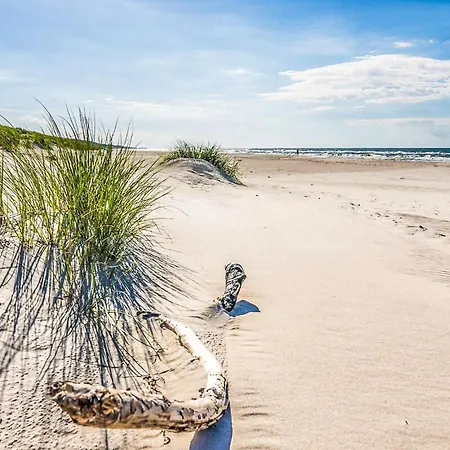 Vakantiehuis Pet Friendly In With Sauna *