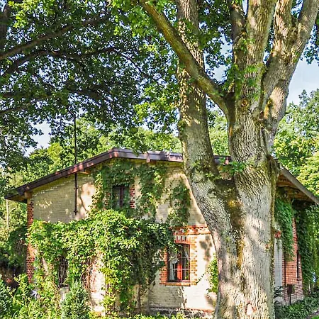 Vakantiehuis Pet Friendly In With Sauna