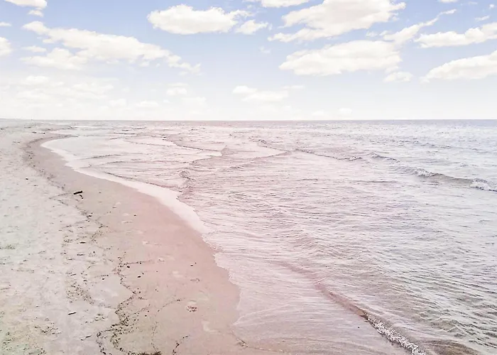 Pet Friendly In With Sauna